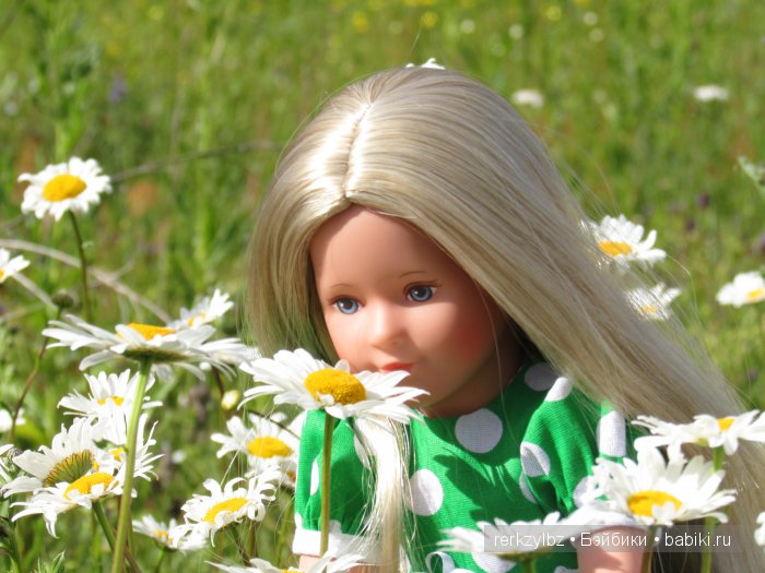 Я дарю всем влюбленным на свете РОМАШКОВЫЕ поля (фото 9)