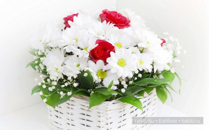 Я дарю всем влюбленным на свете РОМАШКОВЫЕ поля