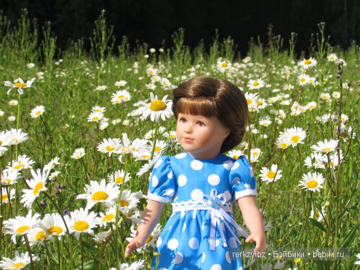 Я дарю всем влюбленным на свете РОМАШКОВЫЕ поля (фото 3)