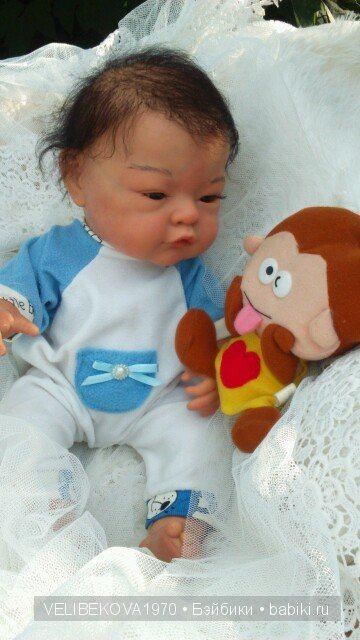 Любознательный Павлик. От Беренжера к Реборну (фото 7)