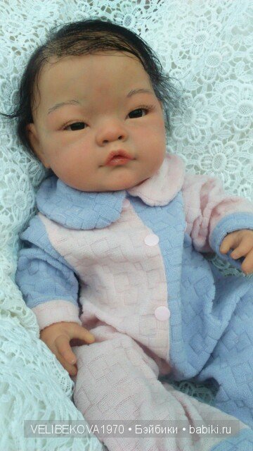 Любознательный Павлик. От Беренжера к Реборну