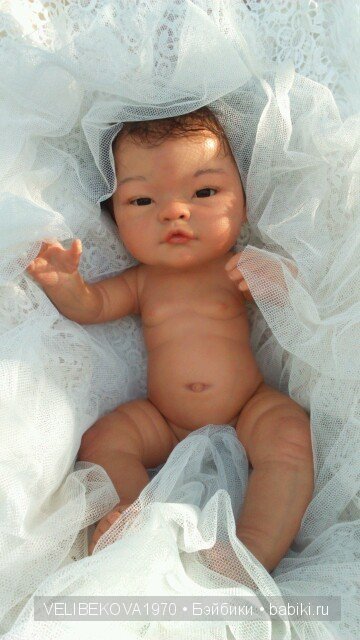 Любознательный Павлик. От Беренжера к Реборну (фото 4)