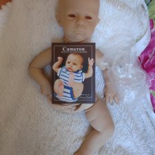 Помогите приобрести ножку к молду Cameron!