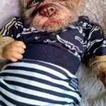 Кукла Реборн  Робби