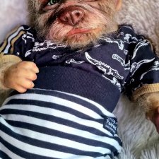 Кукла Реборн  Робби