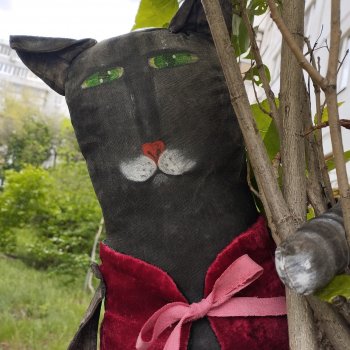 Кот в красном костюме.