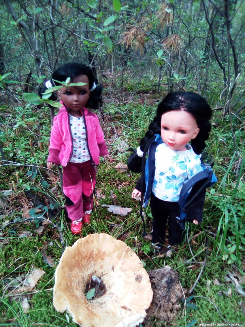 Мои Маришки или как мы по лесу гуляли