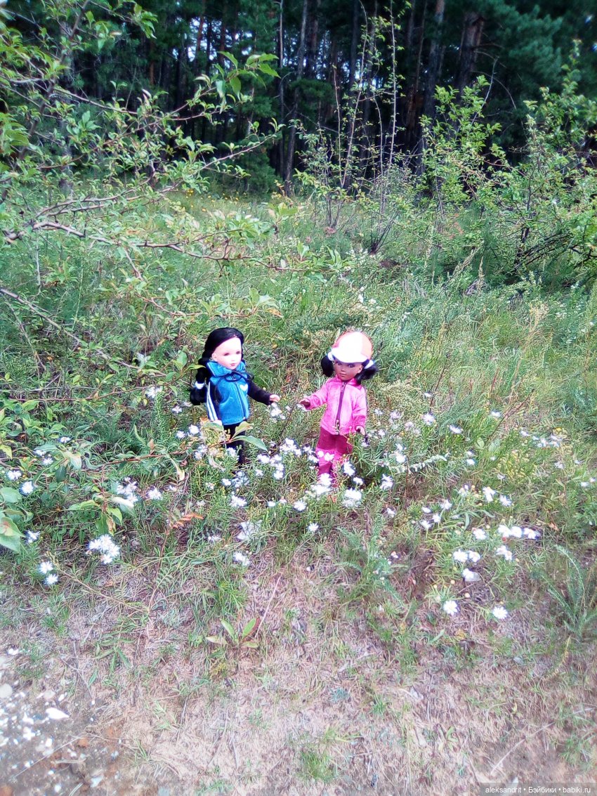 Мои Маришки или как мы по лесу гуляли (фото 6)
