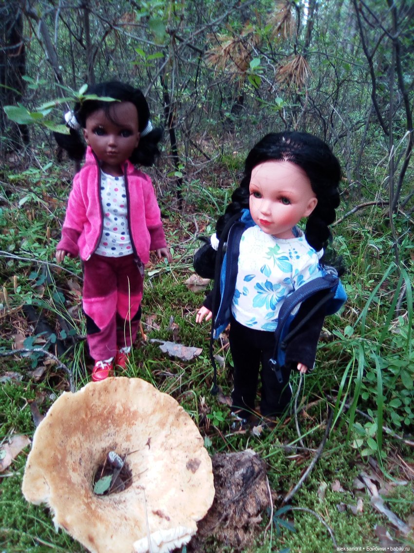 Мои Маришки или как мы по лесу гуляли