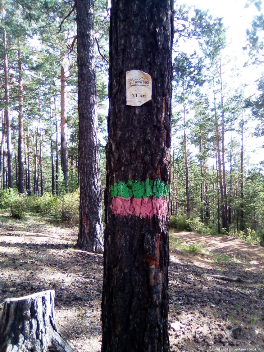 Мои Маришки или как мы по лесу гуляли