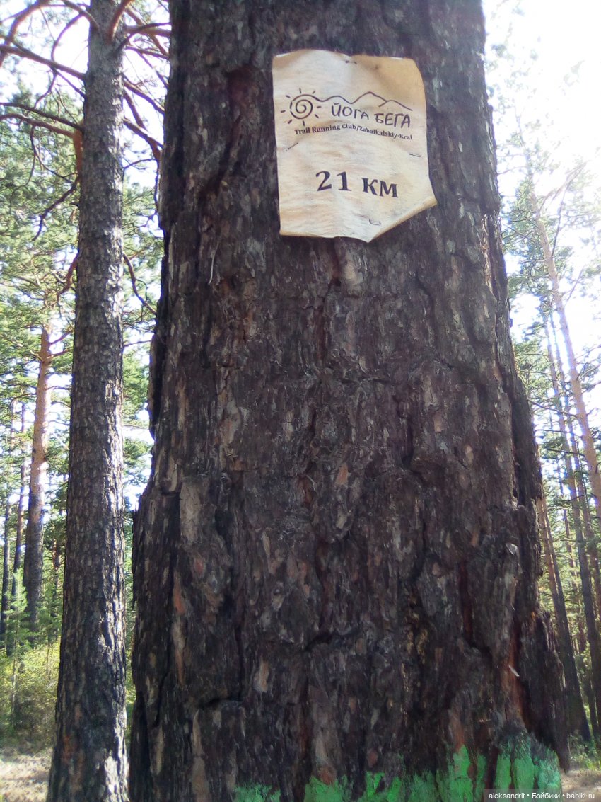 Мои Маришки или как мы по лесу гуляли