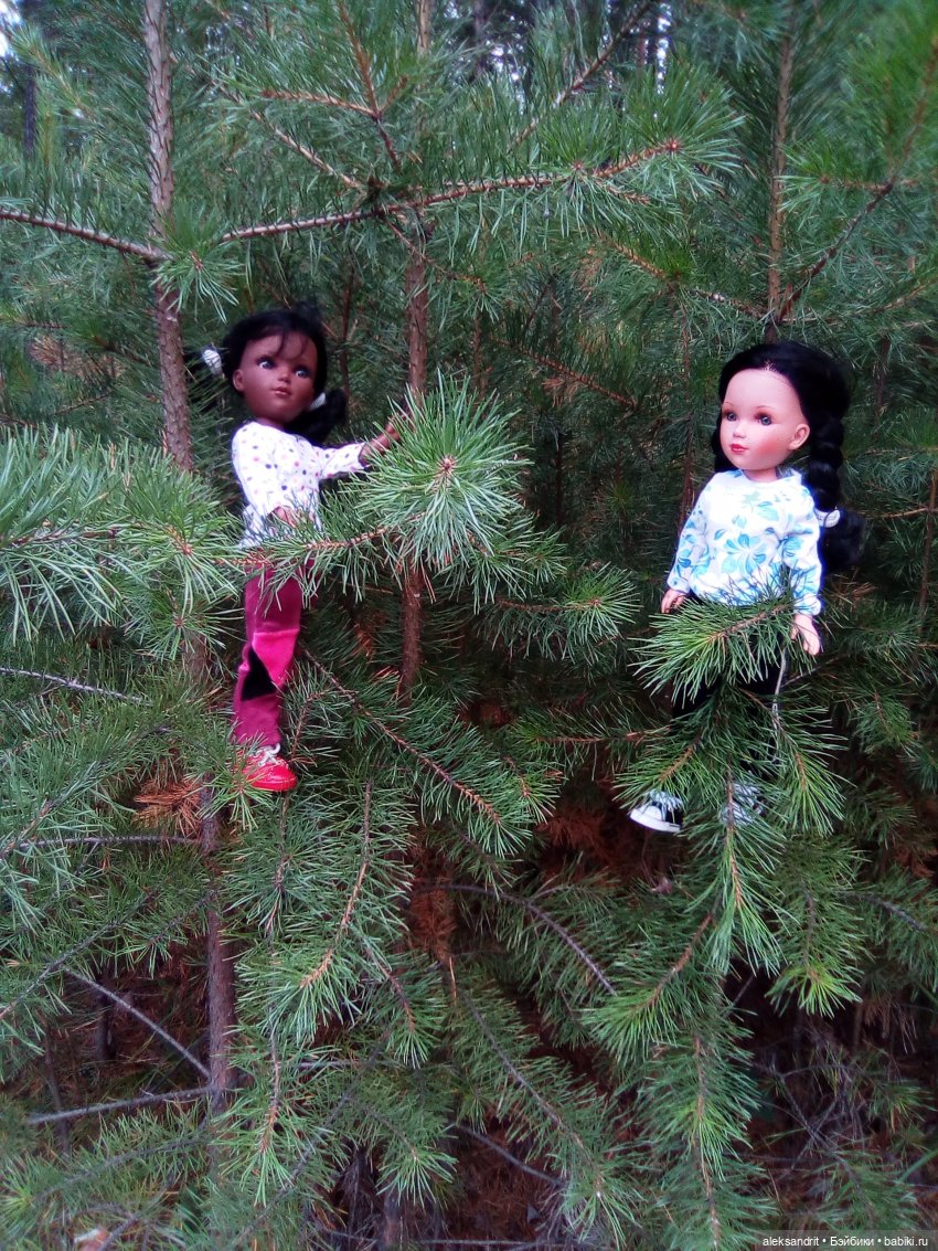 Мои Маришки или как мы по лесу гуляли