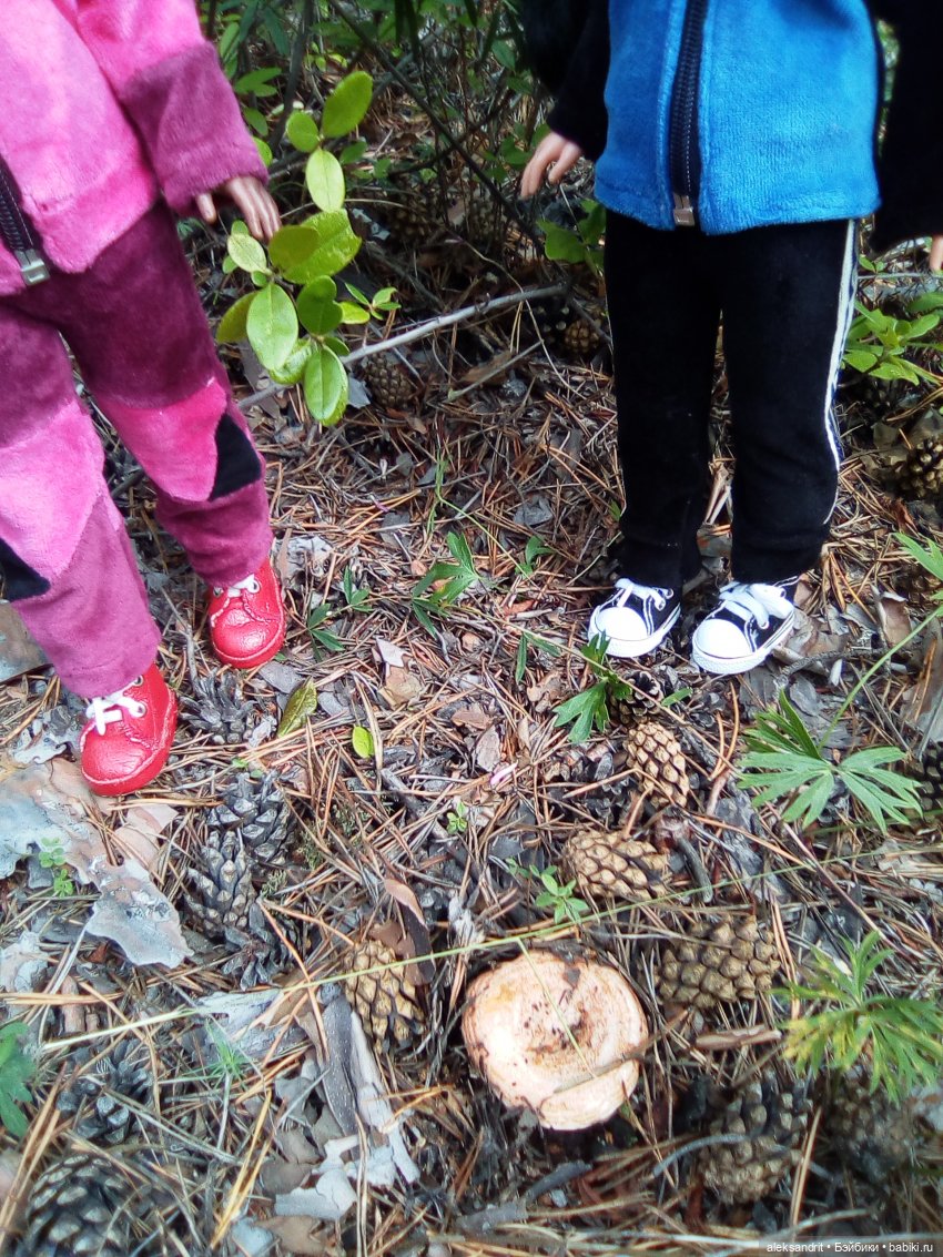 Мои Маришки или как мы по лесу гуляли