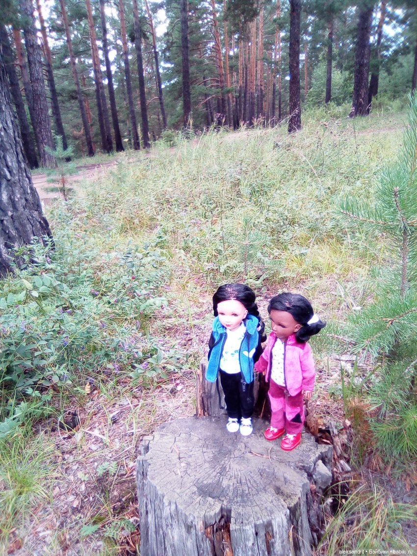 Мои Маришки или как мы по лесу гуляли