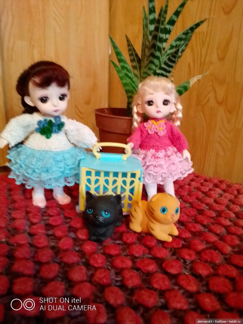 Вот и я не удержалась или как у меня появились баболи (фото 7)