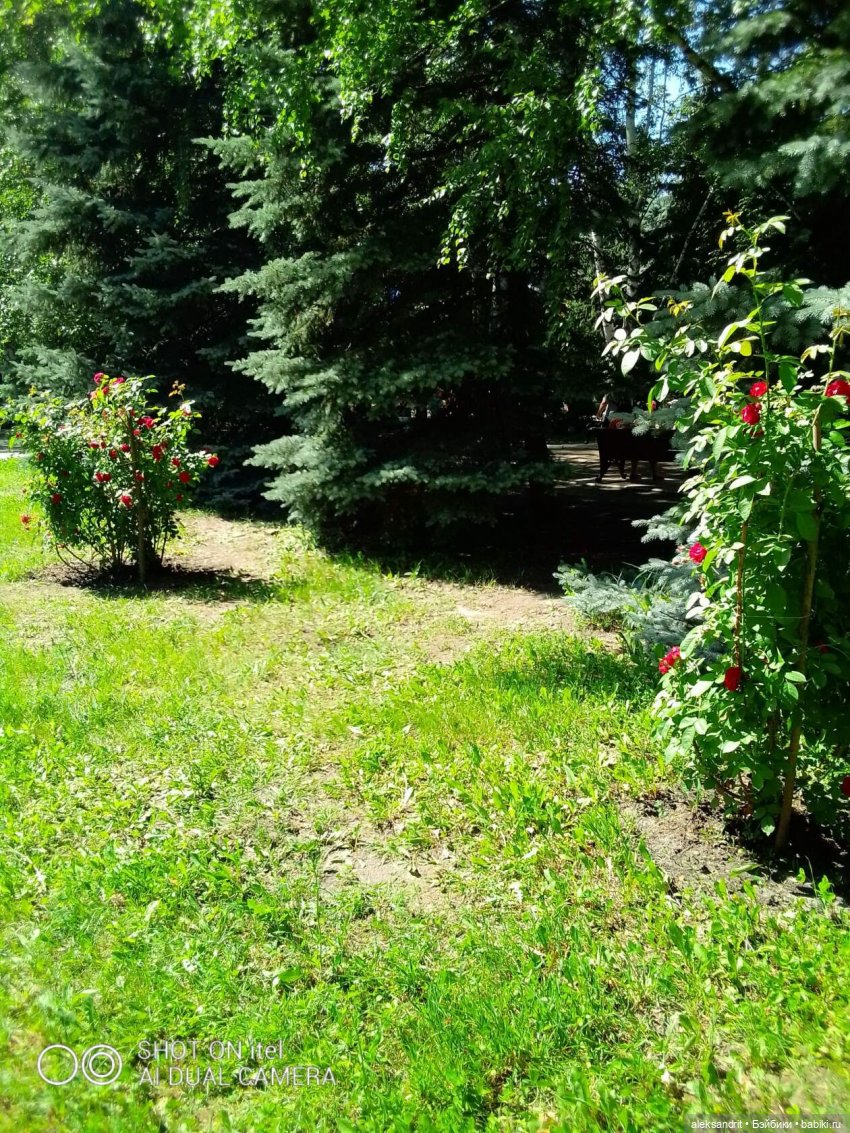 Дорога, дорога, нас в дальние дали зовет... быть может для счастья осталось