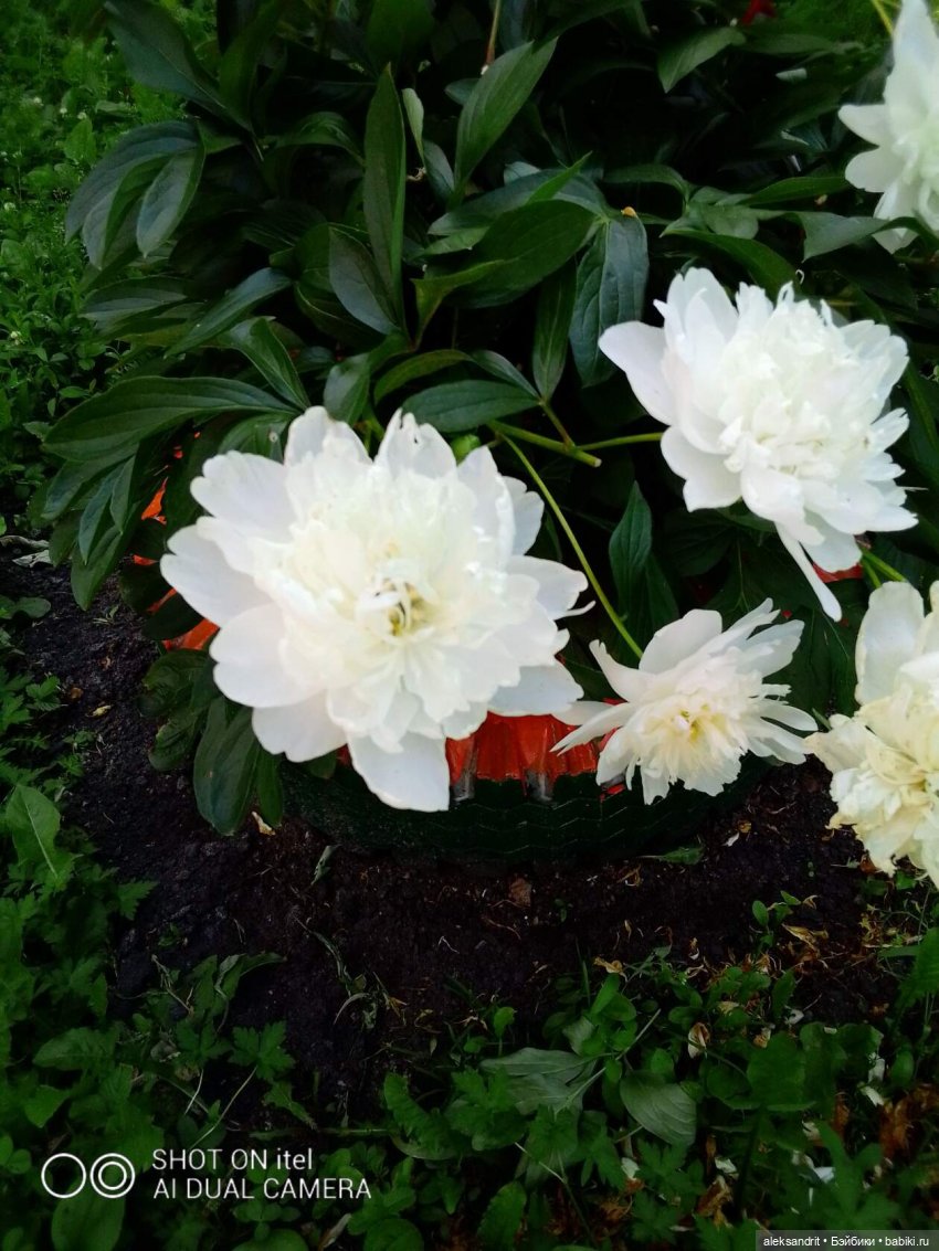 Дорога, дорога, нас в дальние дали зовет... быть может для счастья осталось