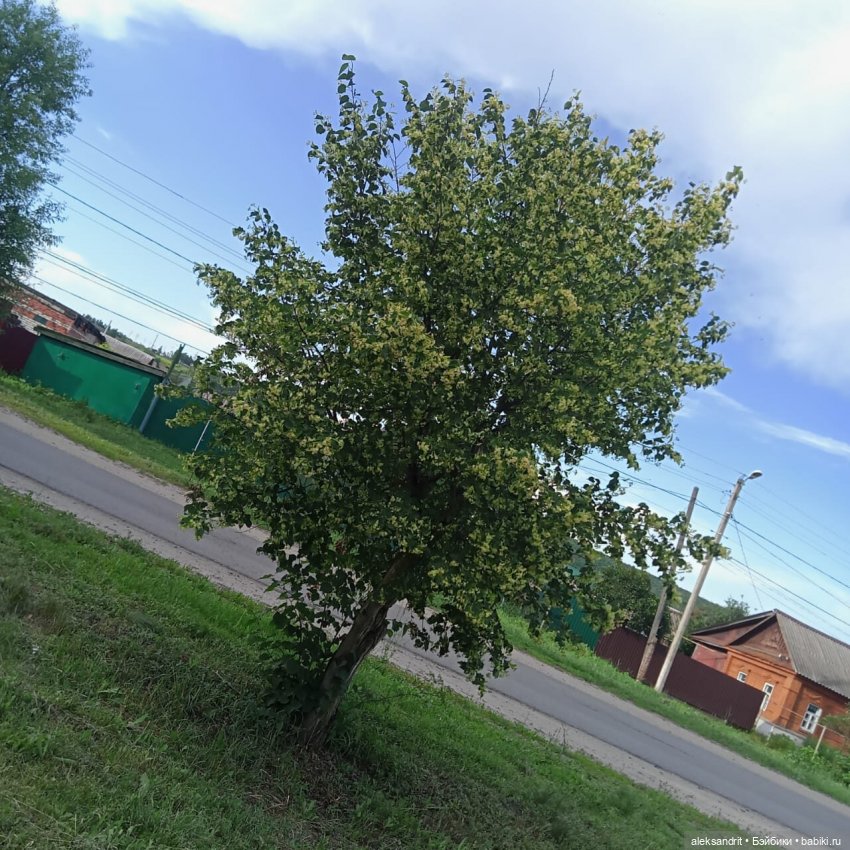 Дорога, дорога, нас в дальние дали зовет... быть может для счастья осталось