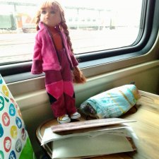 Василинка путешественница или город Сердобск