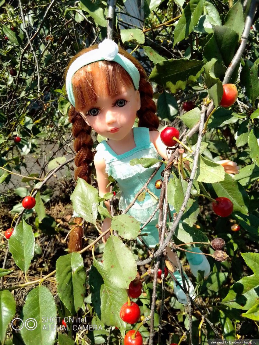 Василинка путешественница или город Сердобск