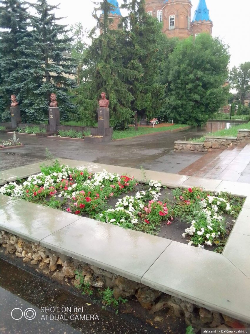 Василинка путешественница или город Сердобск