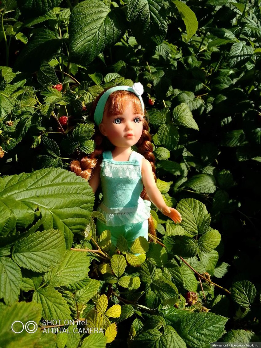 Василинка путешественница или город Сердобск