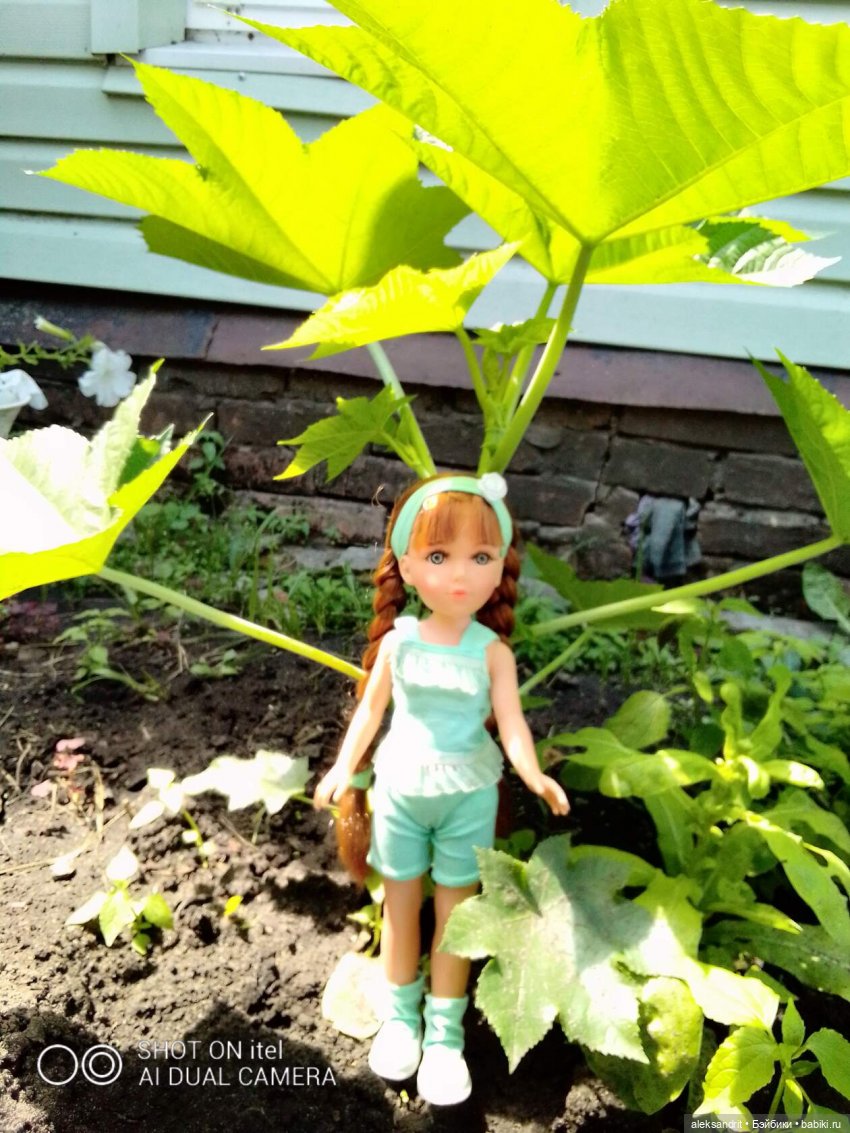 Василинка путешественница или город Сердобск