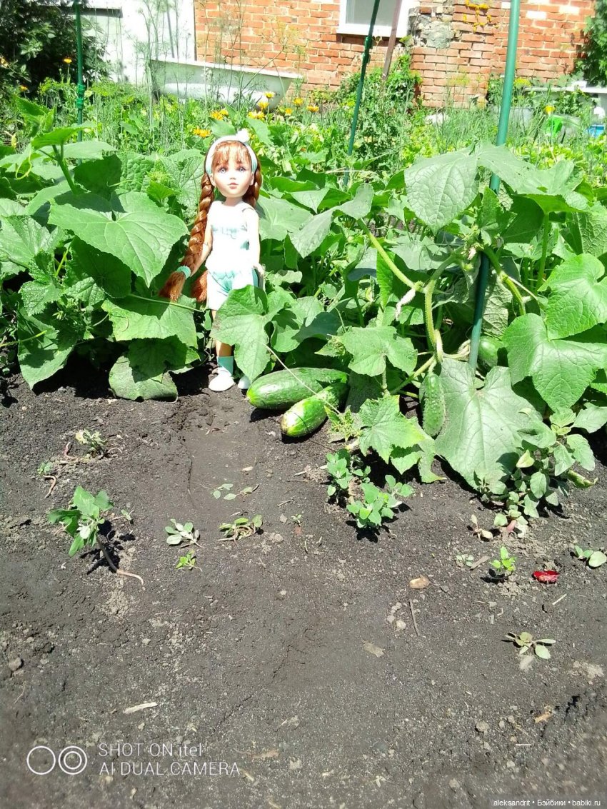 Василинка путешественница или город Сердобск