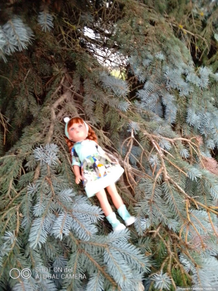 Василинка путешественница или город Сердобск (фото 9)