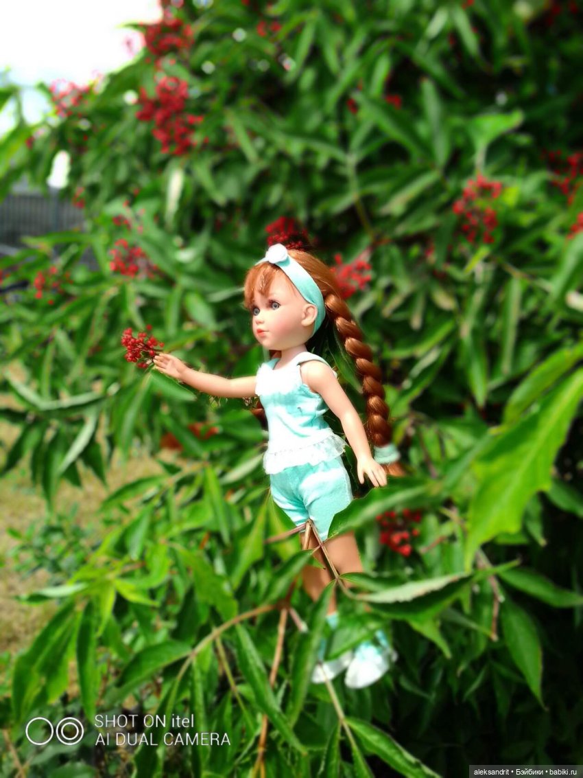 Василинка путешественница или город Сердобск