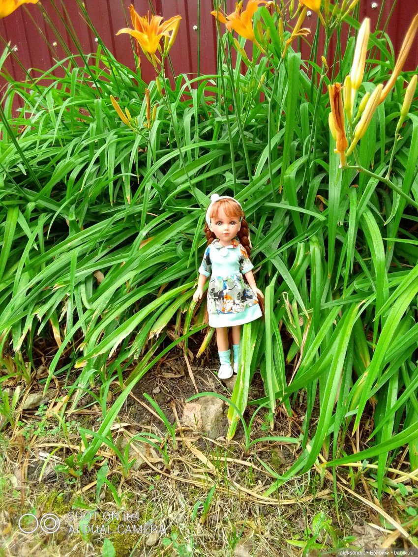 Василинка путешественница или город Сердобск (фото 5)