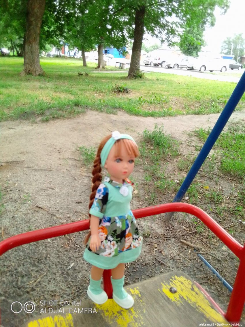 Василинка путешественница или город Сердобск (фото 2)