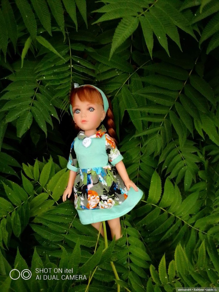 Василинка путешественница или город Сердобск