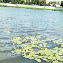 Василинка, путешествие продолжается | Бэйбики Василинка, путешествие продолжается