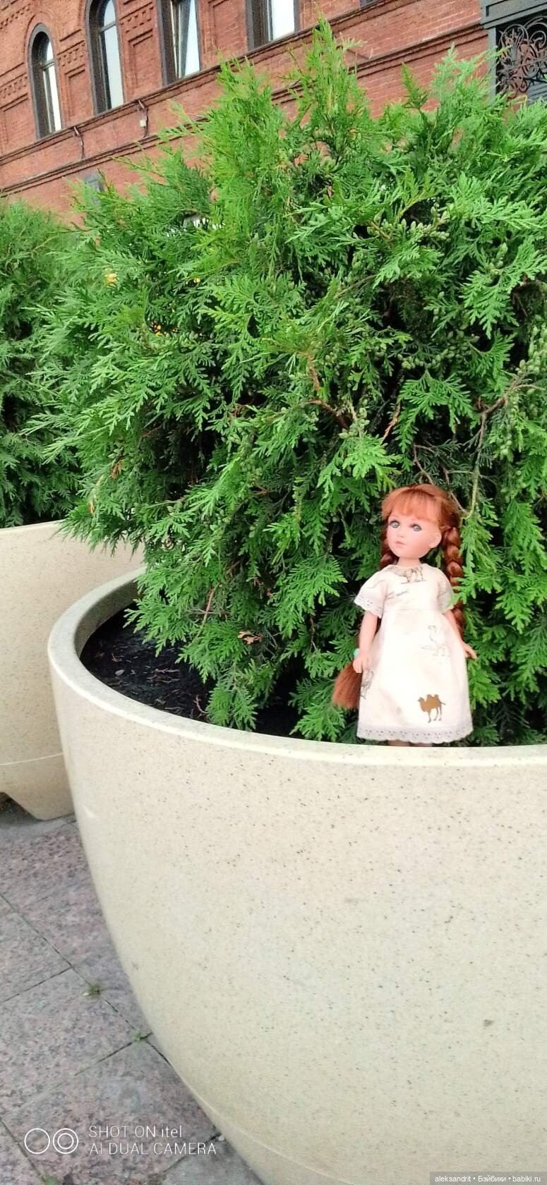 Василинка, путешествие продолжается | Бэйбики Василинка, путешествие продолжается (фото 4)