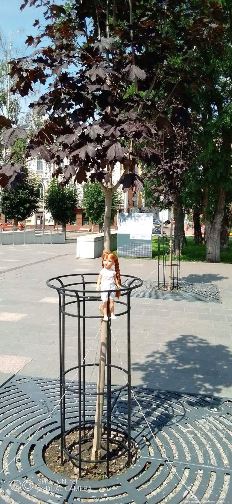 Василинка, путешествие продолжается | Бэйбики Василинка, путешествие продолжается