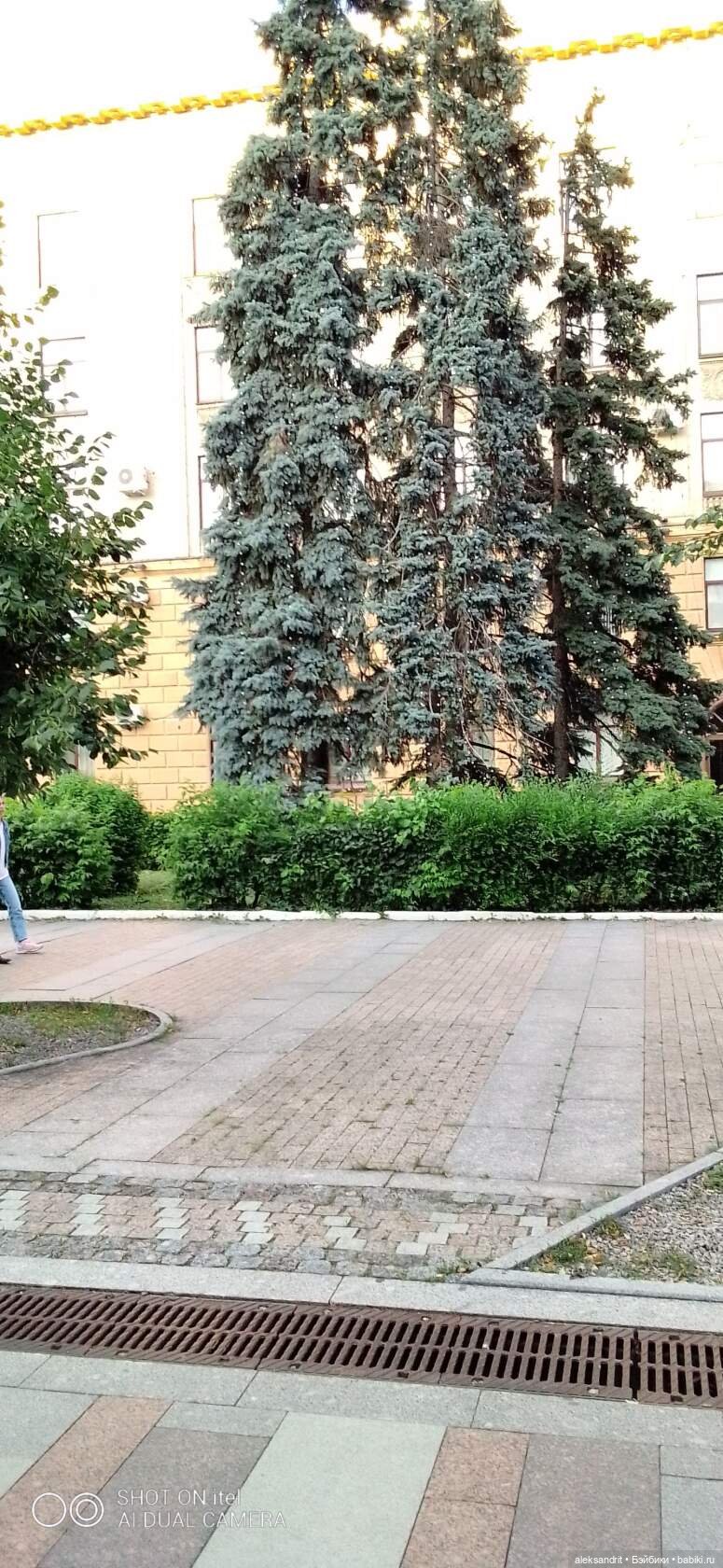 Василинка, путешествие продолжается | Бэйбики Василинка, путешествие продолжается