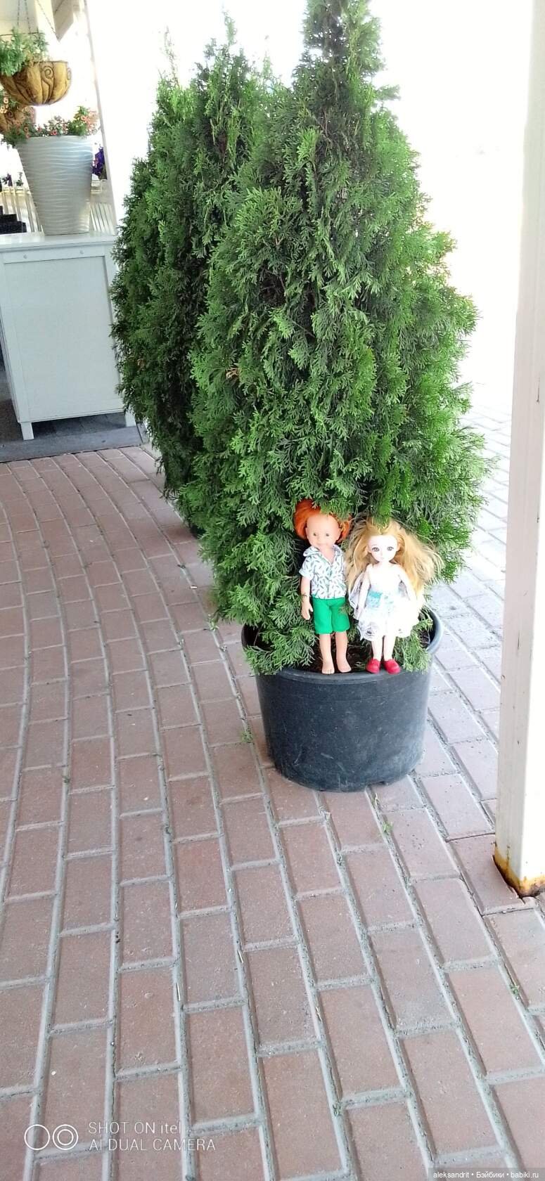 Злата и Антошка, новые приключения | Бэйбики Злата и Антошка, новые приключения