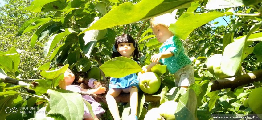 Во саду ли в огороде ягоды созрели... или лето малышей | Бэйбики Во саду ли в огороде ягоды созрели... или лето малышей