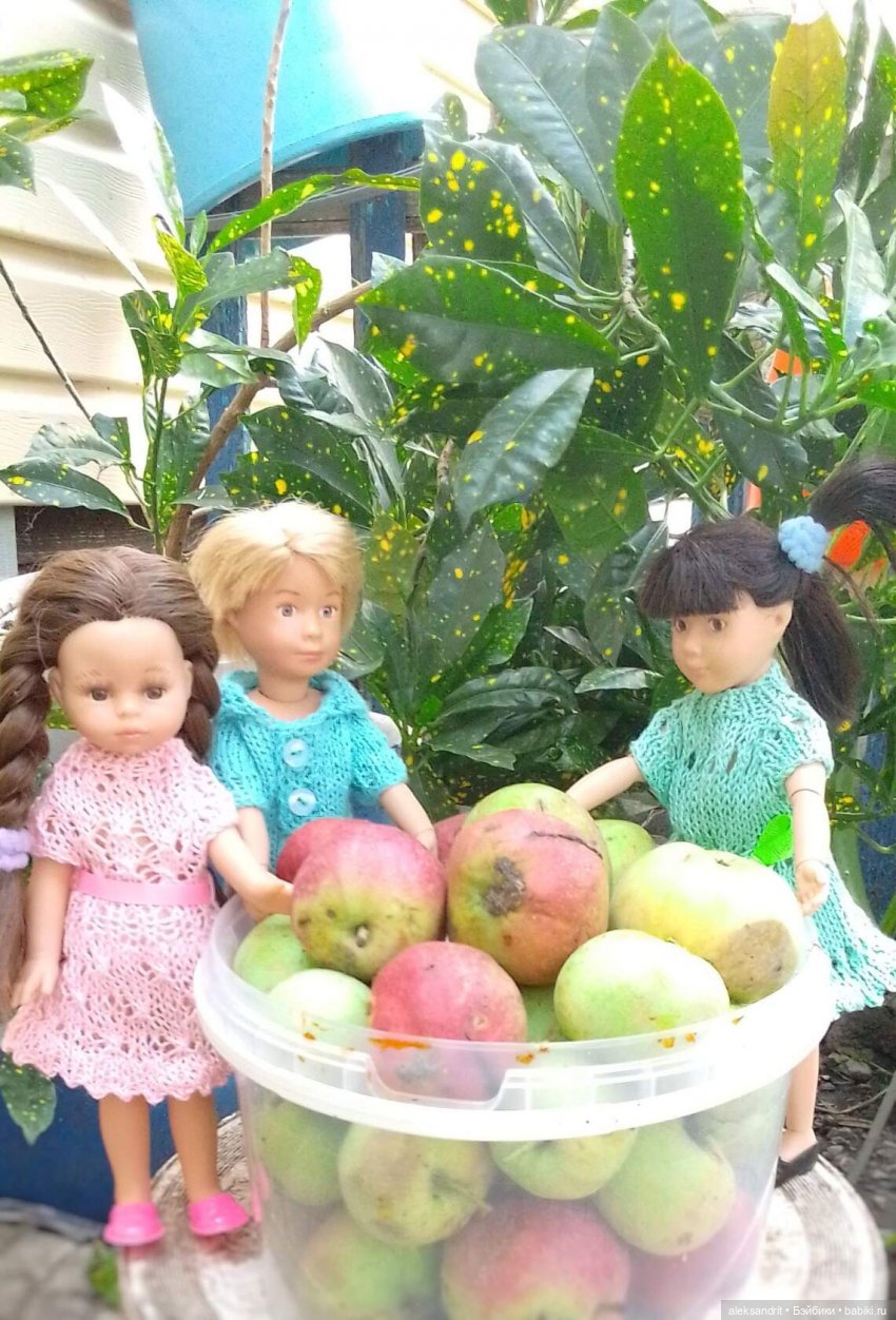 Во саду ли в огороде ягоды созрели... или лето малышей | Бэйбики Во саду ли в огороде ягоды созрели... или лето малышей