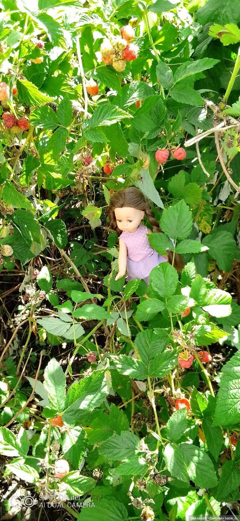 Во саду ли в огороде ягоды созрели... или лето малышей | Бэйбики Во саду ли в огороде ягоды созрели... или лето малышей