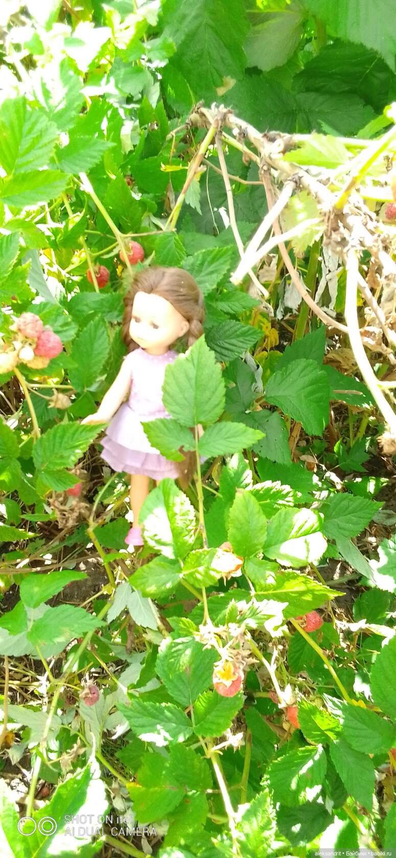 Во саду ли в огороде ягоды созрели... или лето малышей | Бэйбики Во саду ли в огороде ягоды созрели... или лето малышей