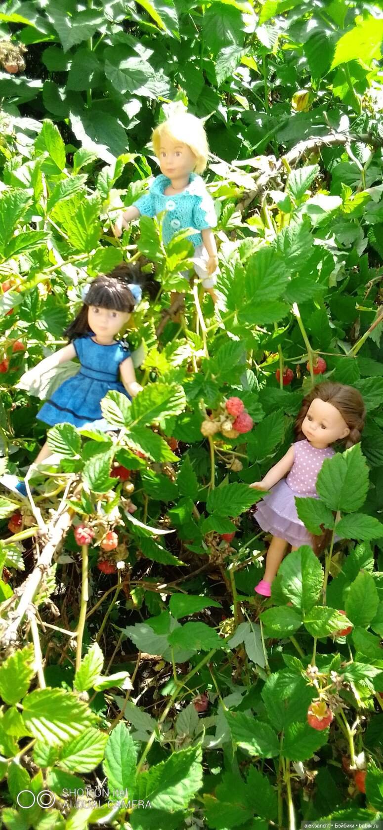 Во саду ли в огороде ягоды созрели... или лето малышей | Бэйбики Во саду ли в огороде ягоды созрели... или лето малышей (фото 10)