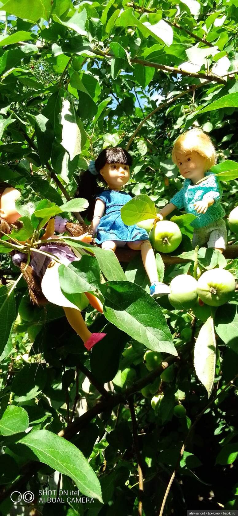 Во саду ли в огороде ягоды созрели... или лето малышей | Бэйбики Во саду ли в огороде ягоды созрели... или лето малышей