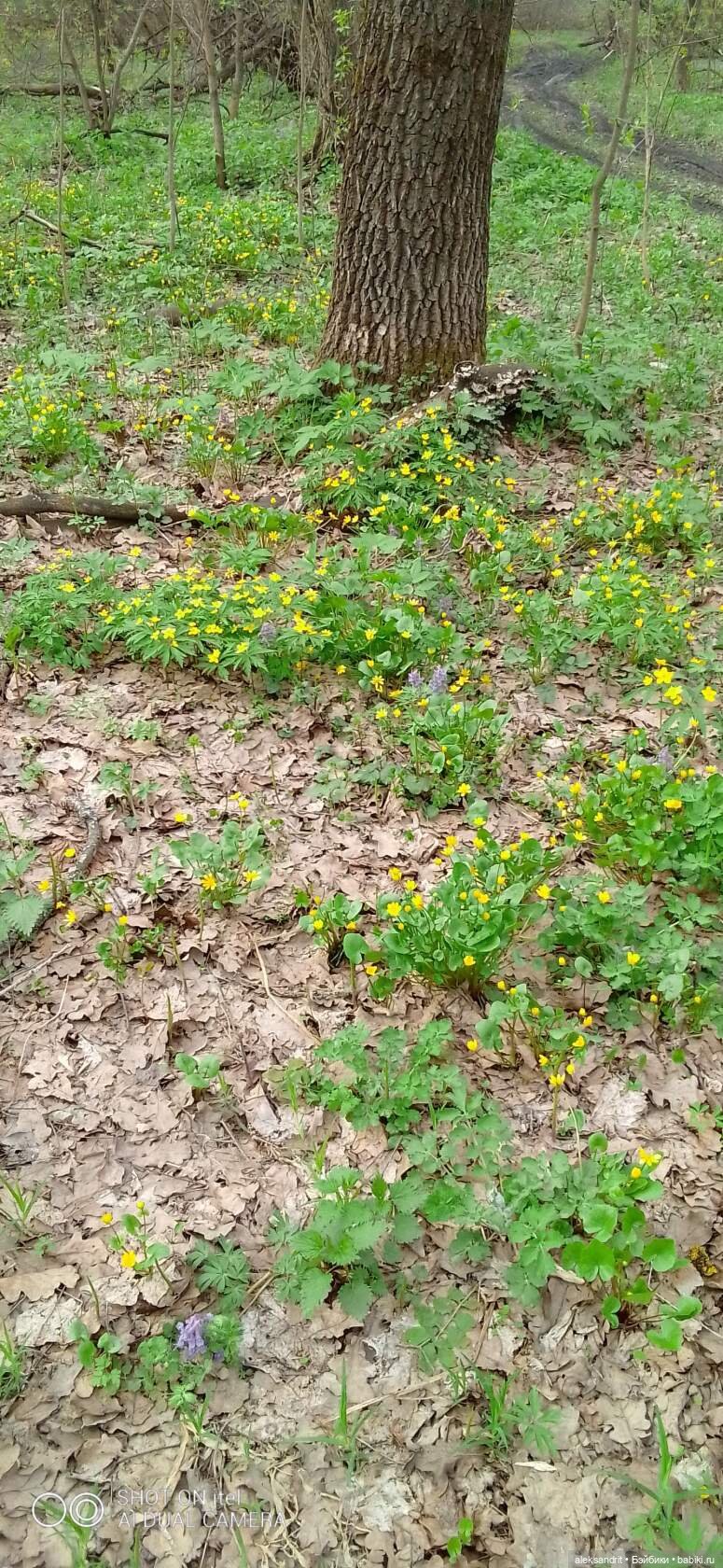 Как мои девченки Пасху встречали