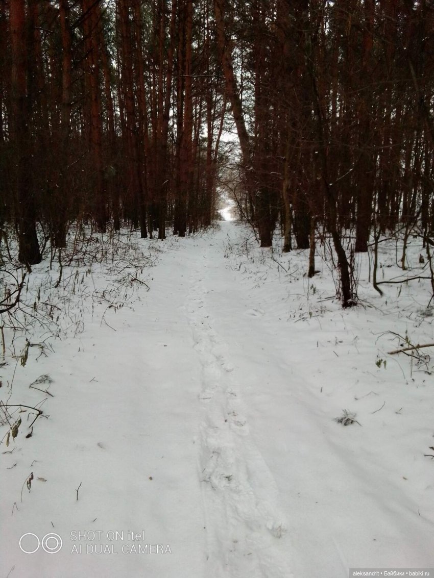 дорога домой