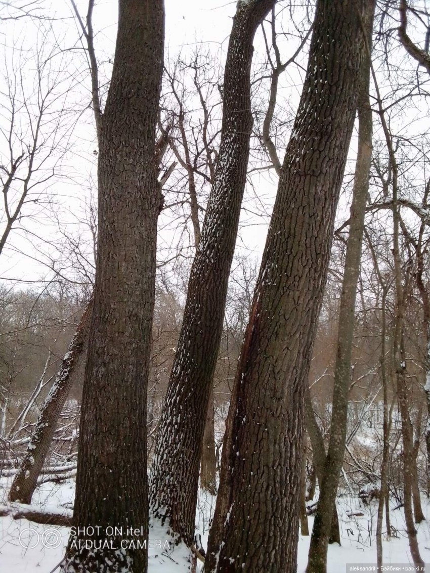 три богатыря