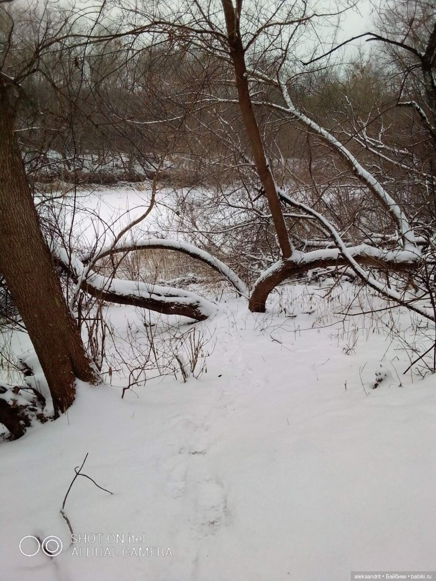 Прогулка по зимнему лесу ...и пора показать кукол и их наряды (фото 5)