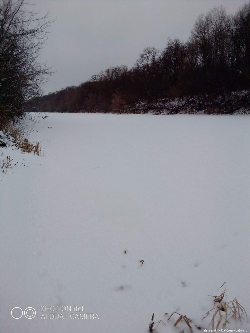 Прогулка по зимнему лесу ...и пора показать кукол и их наряды (фото 8)