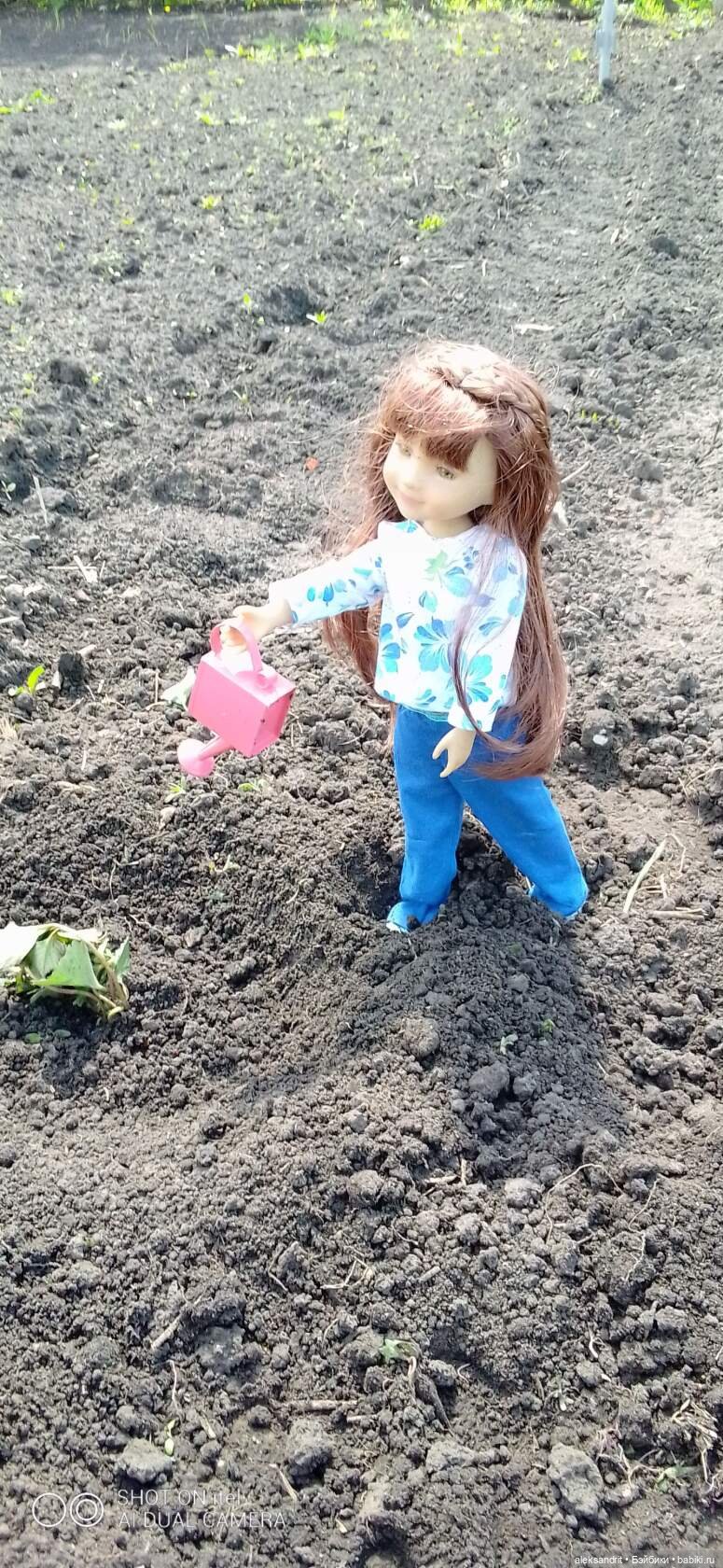 Воспоминание о прошедшем лете ...или как мы клубнику пересаживали